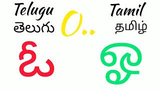 తమిళంలో అచ్చులు | தெலுங்கில் உயிரெழுத்துக்கள் | vovels in Telugu and Tamil | learn Tamil and Telugu