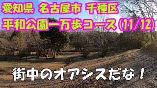 【散歩】名古屋市 千種区 平和公園・一万歩コース (11/12)