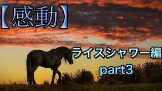 【感動】1995年　宝塚記念　ライスシャワー編　最終回