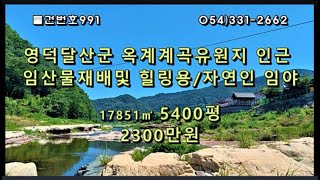 [물건번호991. 경북 영덕군 달산면 69지방도근접 맑고 깨끗한 청정지역으로 물과 산이 어우러진 자연환경 힐링지및 임산물 재배지 자연인 주말농장용 임업용산지]