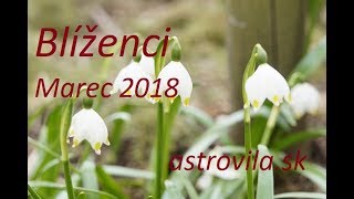 Blíženci: Marec 2018