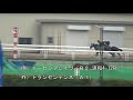 浦和競馬　第31回埼玉新聞栄冠賞（ＳⅢ）追い切り動画　トランセンデンス　2021 10 15　浦和競馬場にて