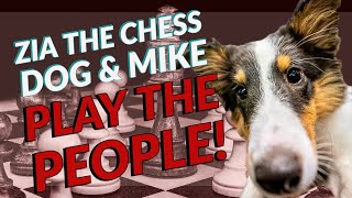 Mike Kummer \u0026 Zia the Chess Dog Play The People!