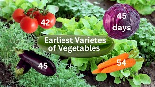 Fast-Maturing Vegetable Varieties You Should Know About