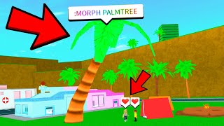 Impossible Hide And Seek With Morph Command Roblox Poke - i became the map with new admin commands