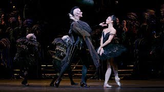 Swan Lake - Odile/Black Swan solo (Natalia Osipova, The Royal Ballet)
