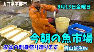 【魚市場】【刺身盛り造ります】【お盆相場💦】今朝の魚市場8月13日金曜日の水揚げ状況！