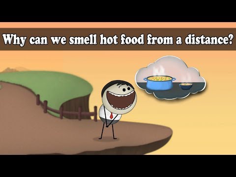 Why do gases have highest rate of diffusion?
