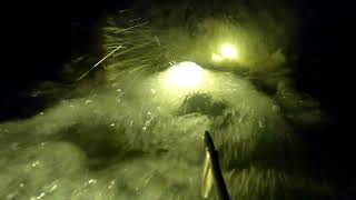 NIGHT SPEARFISHING || DIKEROYOK RIBUAN IKAN SAMPAI BINGUNG MAU MILIH IKAN TARGET