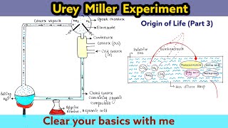 Urey Miller experiment | Origin of life | Part 3 | Evolution