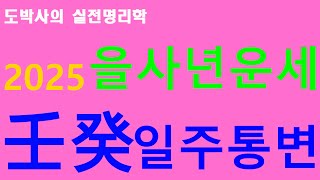 2025년 을사년 운세  - 임계 일주통변 -