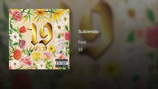 Feid - Subiendo (Cover Audio)