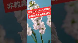 【批判コメント殺到】有名YouTuberが謝罪し、動画を非公開に!発信者を叩き過ぎる世の中の風潮に喝!#youtuber#ヴァンビ#ゆん#ヴァンゆん#芸能人#妊婦#スパイダーメーン#ごめーん