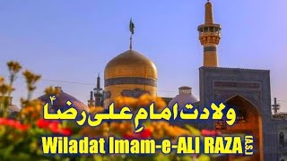 11 Zulqad Wiladat Imam Ali Raza Status | Whatsapp Status | Mir Hasan Mir Manqabat  Whatsapp Status ✨