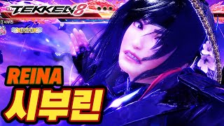 TEKKEN 8 ⚡ REINA : 시부린(Shiburin)