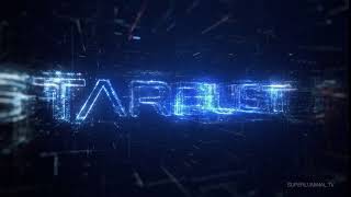 Stardust Logo Build Final Result