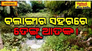 ବଲାଙ୍ଗୀର ସହରରେ ଡେଙ୍ଗୁ ଆତଙ୍କ ! || Balangir