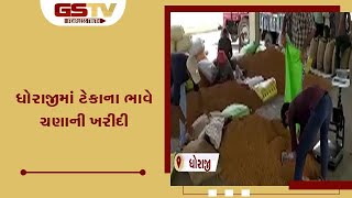 ધોરાજીમાં ટેકાના ભાવે ચણાની ખરીદી | Gstv Gujarati News