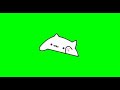 Happy Cat - Green Screen Video For Video Editing - Animated GIF