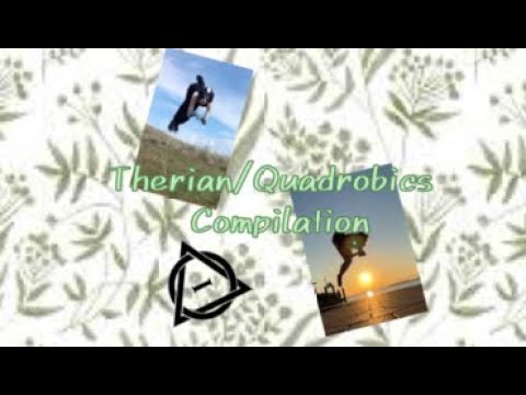 рџњї Therian Quadrobics Tiktok Compilation рџђѕ Disclaimerвђјпёџ None Of