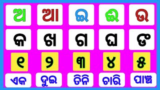 ଅ ଆ ଇ ଈ ଲେଖିବା ଓ ଡାକିବା | ୧ ଠାରୁ ୧୦୦ ପର୍ଯ୍ୟନ୍ତ ଗଣନ ସଂଖ୍ୟା ଡାକିବା | Ganana Sankhya | Odia Alphabets