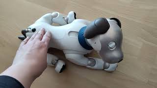 Muffit the Aibo ERS-1000 - Do robot dogs dream?