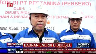 Kebijakan Bauran Biodiesel Temui Sejumlah Kendala