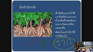 เรื่อง การลำเลียงน้ำของพืช ตอนที่ 1