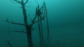 Scuba Diving at Overlook Park Canyon Lake, Texas