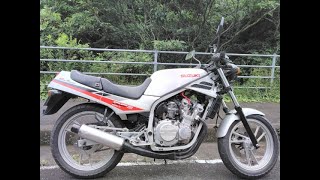 【SUZUKI　GF250】GF(ガールフレンド)がやってきた！