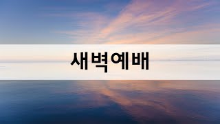 [상동21세기교회] 새벽예배 (24.11.1)