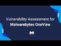 Vulnerability Assessment for OneView