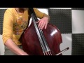 The Last Of The Mohicans Promentory (Double Bass)