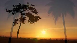 Mike Oldfield Sunlight Shining Through Cloud