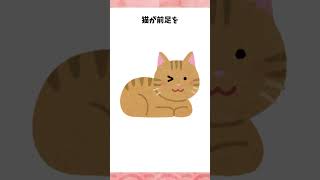 猫に関するほっこり雑学 #雑学 #猫  #やっぱり猫が好き #shorts