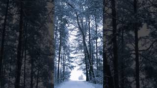 Beautiful aesthetic nature status video with songs  #snow #winter #relaxing #nature #shorts 💙✨