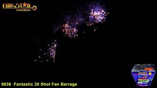 6636 Fantastic 20 Shot Fan Barrage