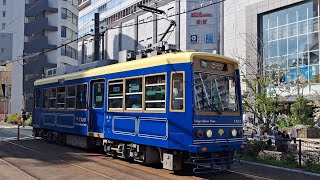 都電荒川線7700形7703号　三ノ輪橋行き大塚駅前～向原通過(2024/4/13)