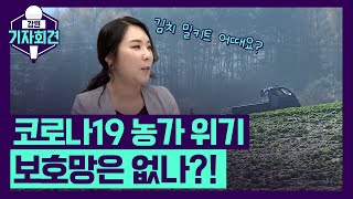 [강원기자회견 140회 ep.2] 코로나19와 폭염, 농가는 불안...보호망은?