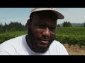 how wine is made u0026 how to cook with it farm to table delish