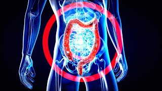What Foods Promote ‘Good’ Gut Bacteria? - Inside Health