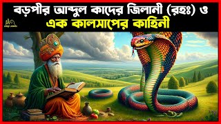 বড়পীর আব্দুল কাদের জিলানী (রহঃ) এবং এবং এক কালসাপের কাহিনী । Islamic Story Bangla