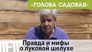 Голова садовая - Правда и мифы о луковой шелухе