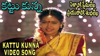 Kattu Kunna | Pellaniki Premalekha Priyuraliki Subhalekha Movie Song  కట్టు కున్న | Rajendra Prasad