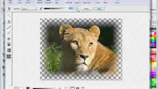 Working with Mask Effects in VinylMaster