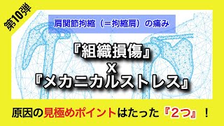 肩関節拘縮の痛み：原因の見極めポイントはたった２つ！〜『組織損傷』と『メカニカルストレス』〜