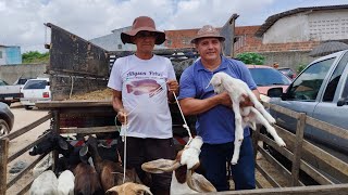 feira livre de Parnamirim RN!