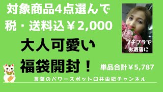 【4点セレクトお洋服福袋開封！】〜大人可愛いアイテムが¥2,000(税・送料込)〜