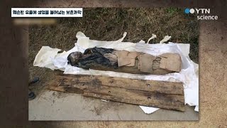 훼손된 유물에 생명을 불어넣는 보존과학 / YTN 사이언스