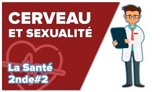 Cerveau, plaisir, sexualité - SVT - SANTÉ 2nde #2 - Mathrix